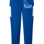 Idaho Women's Travel Pant With Logo 2024