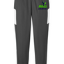 Mountain View Girls Travel Pant (Women's Cut)