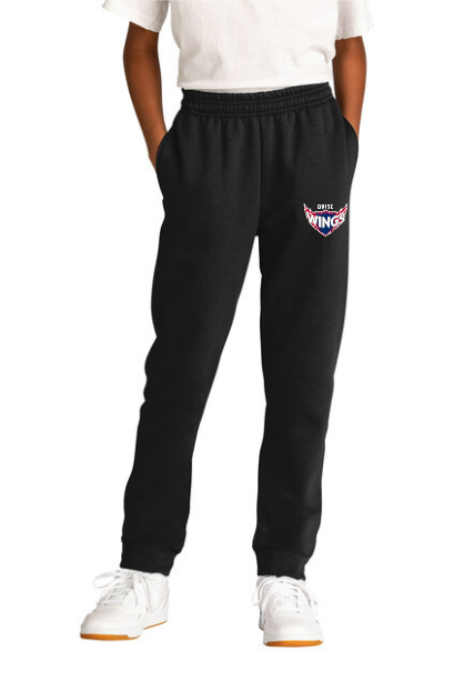 BSA 2025 Team Store Fleece Youth Jogger