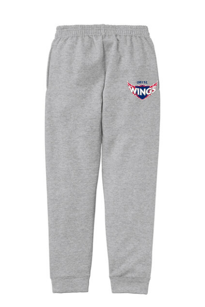 BSA 2025 Team Store Fleece Youth Jogger