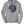 2025 Ice Pilots Team Store Hoodie With Printed Logo