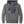 2025 Ice Pilots Team Store Youth Hoodie With Printed Logo
