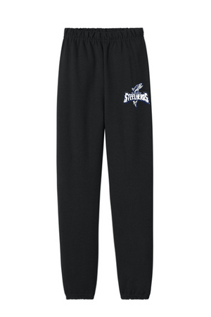 JR Steelheads 2025 Team Store Youth Jogger