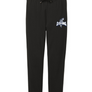 JR Steelheads 2025 Online Team Store Women's Perfect Fit  Jogger