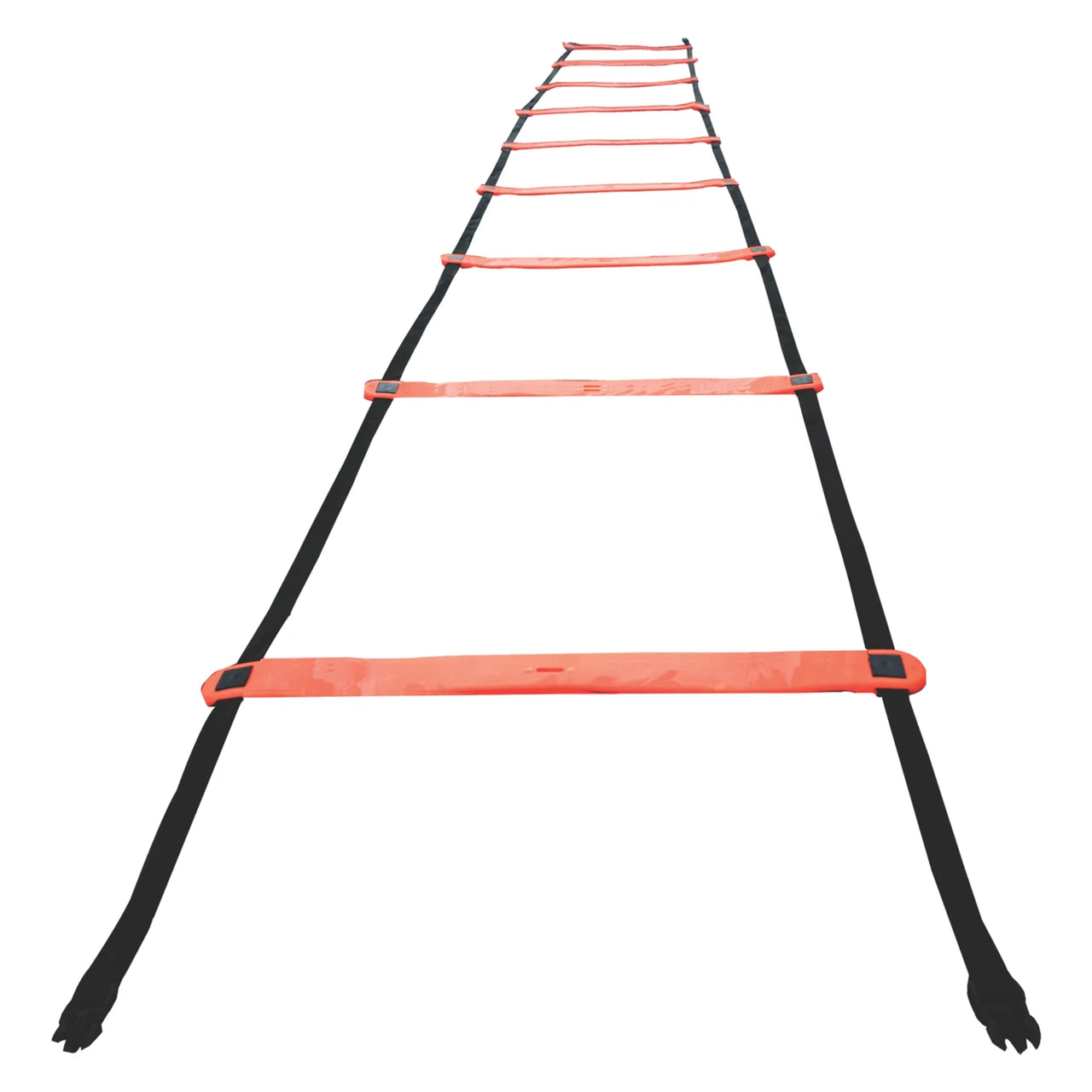 Champion Starter Agility Ladder