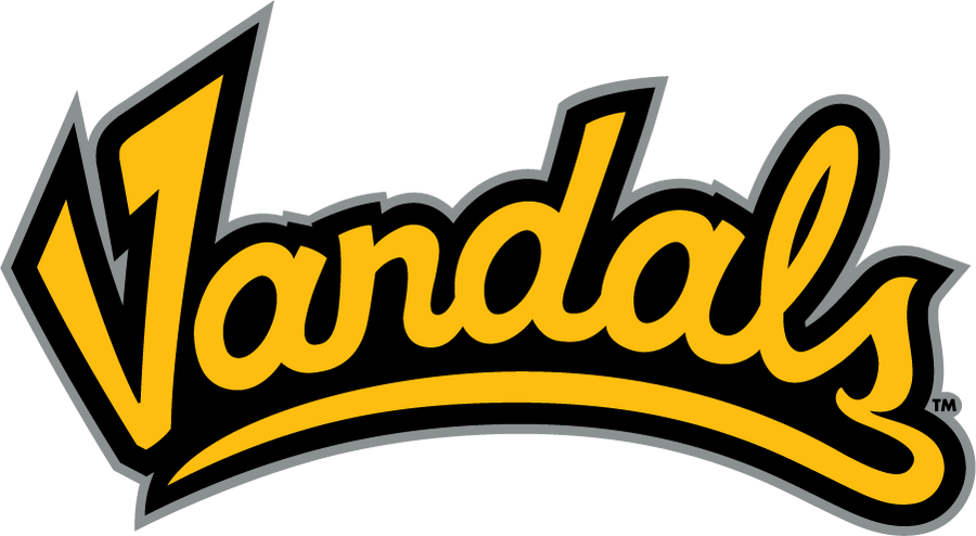 VANDAL TEAM HELMET - 2023/24 – LAXID Lacrosse And Hockey Shop